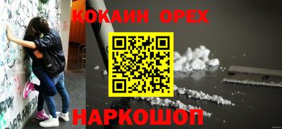 прущие грибы Будённовск