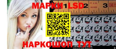 прущие грибы Будённовск