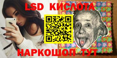 прущие грибы Будённовск