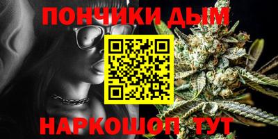 прущие грибы Будённовск