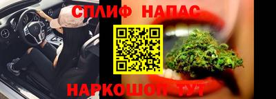 прущие грибы Будённовск