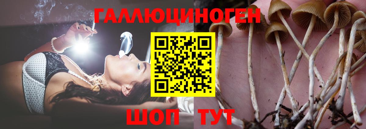 Псилоцибиновые грибы мухоморы  Вход с VPN  Полевской  Псилоцибиновые грибы MAGIC MUSHROOMS 